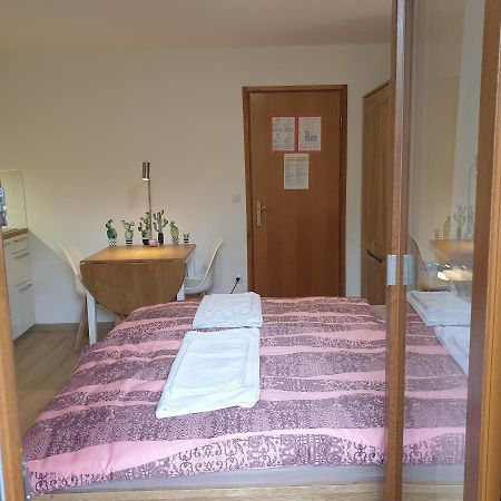 Apartmaji Pri Medvedu Studio Rudnica Bohinj Exteriér fotografie