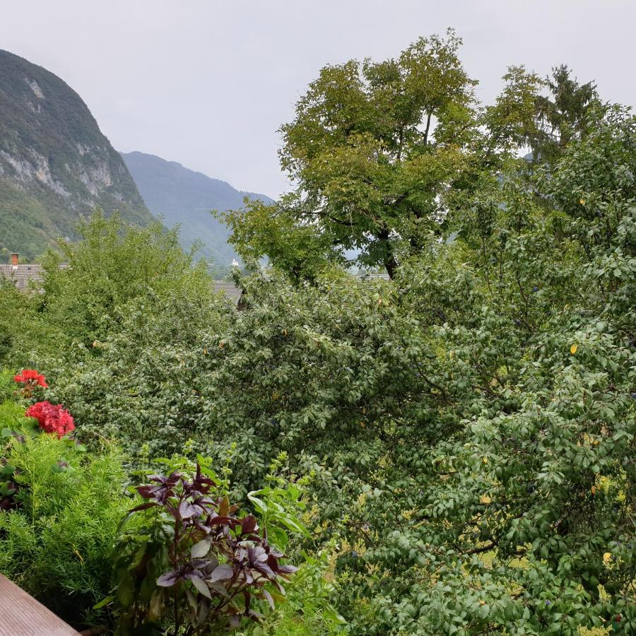 Apartmaji Pri Medvedu Studio Rudnica Bohinj Exteriér fotografie